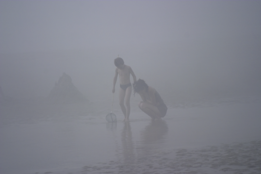 Brume 09.png